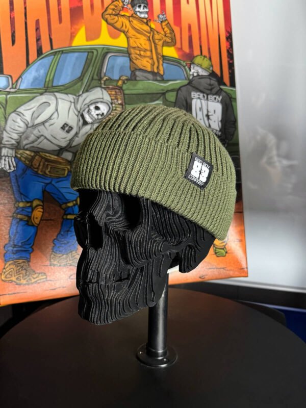 Шапка оливкова фліс ВВ стандарт